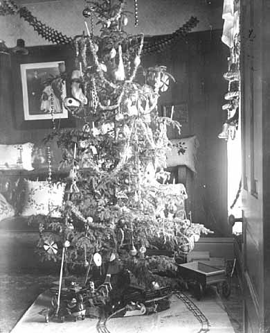 From Evergreen Forests to British Living Rooms: The Enchanting Tale of How Christmas Trees Came to the UK
