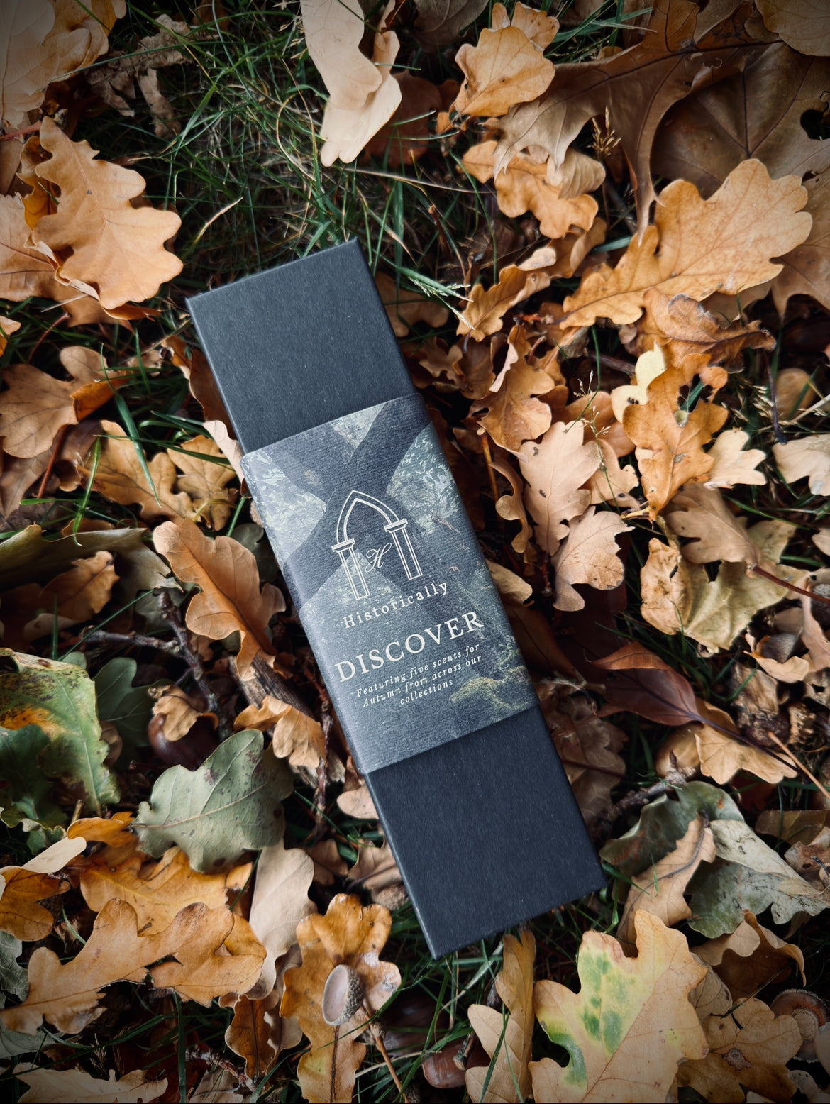 Autumn Discover Set