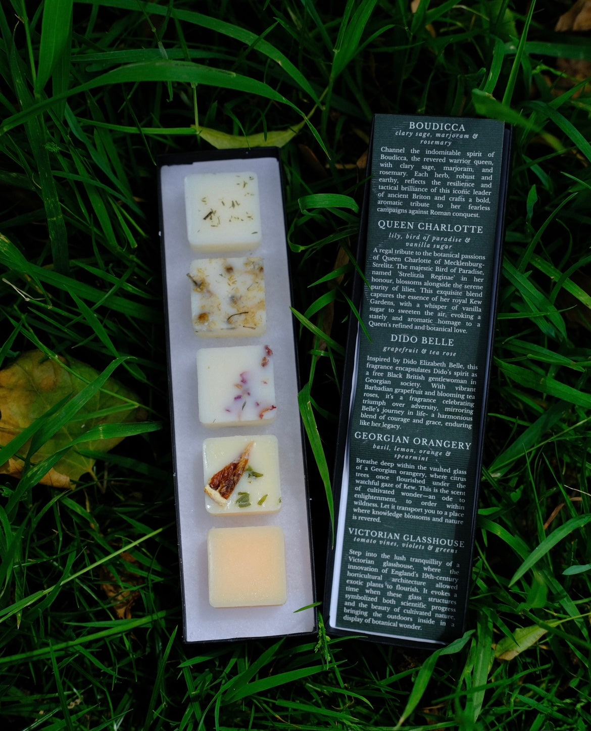 Summer Discover Set