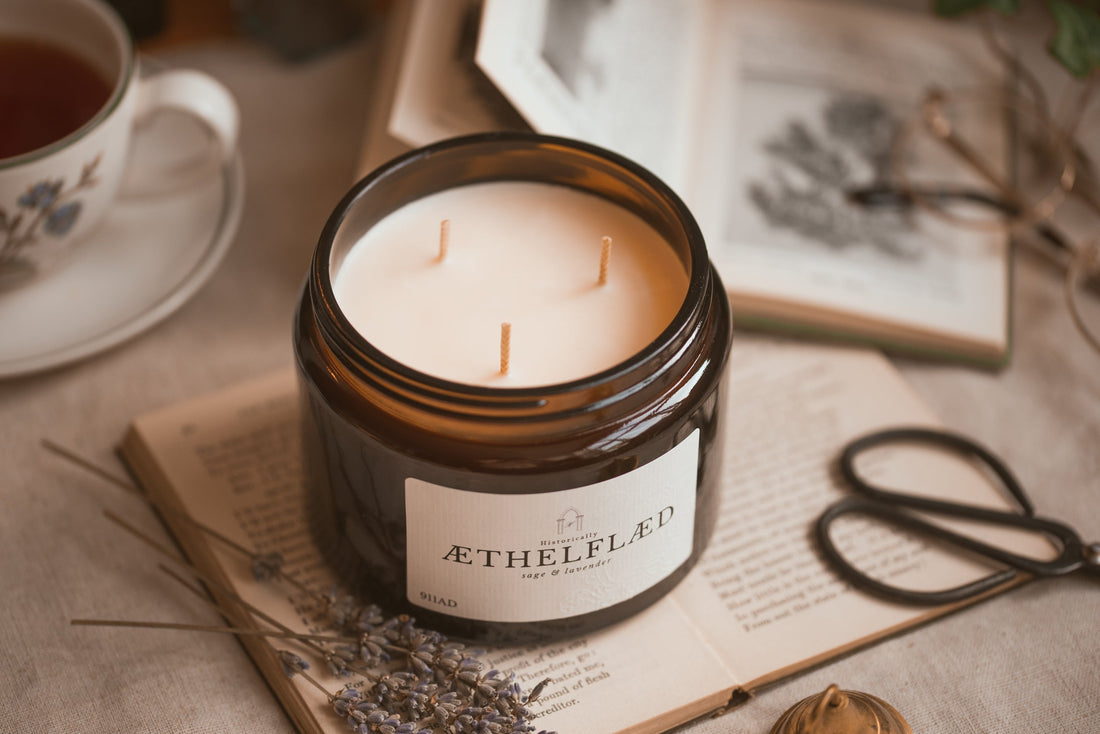 Æthelflæd, Lady of the Mercians: England’s Forgotten Warrior Queen