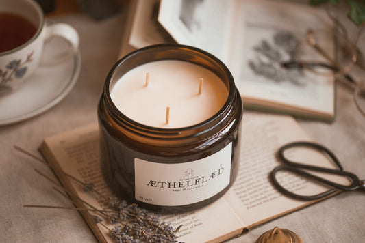 Æthelflæd, Lady of the Mercians: England’s Forgotten Warrior Queen