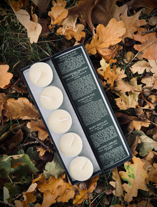 Autumn Discover Set