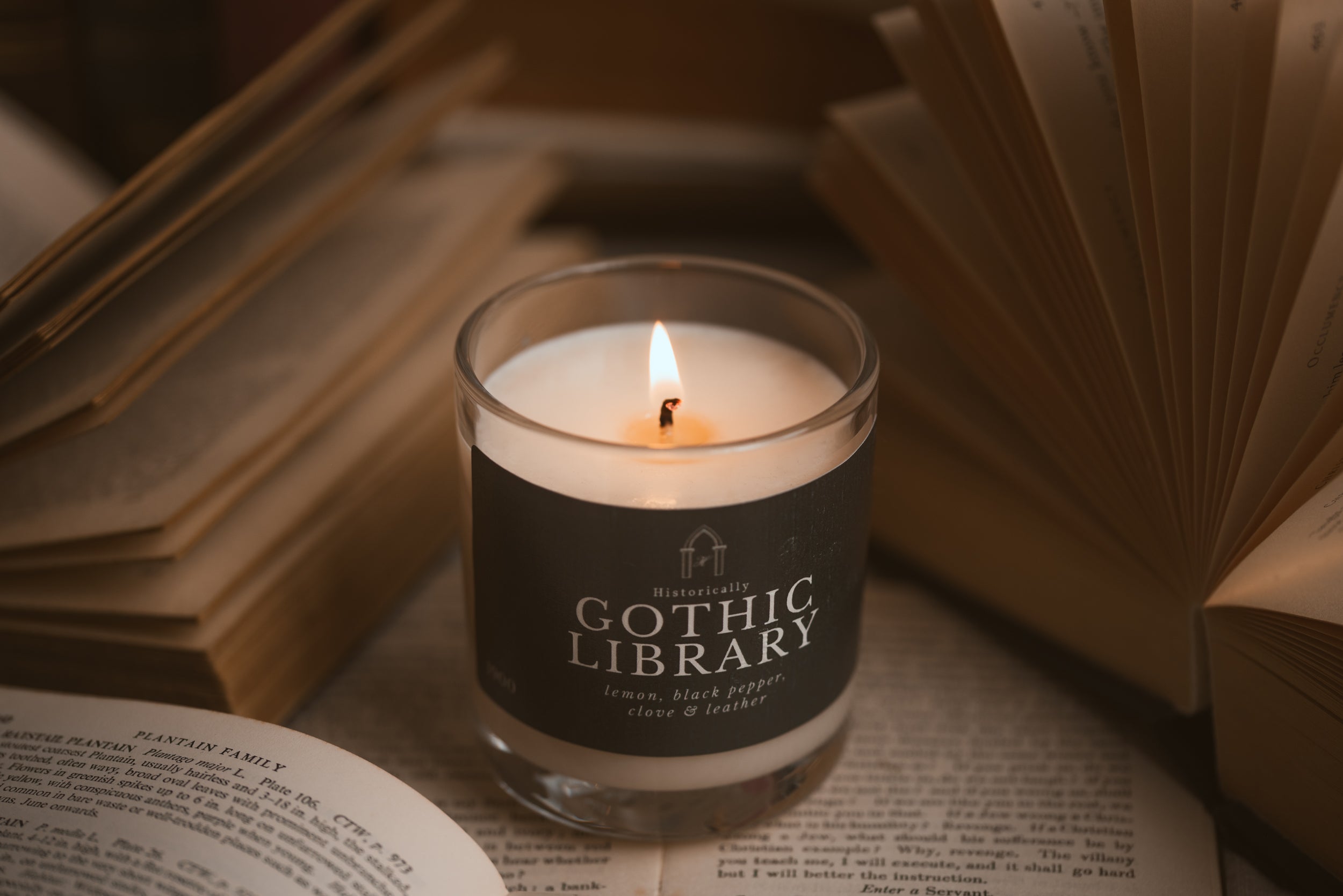 Bookish candle inspired by Victorian and Gothic libraries
